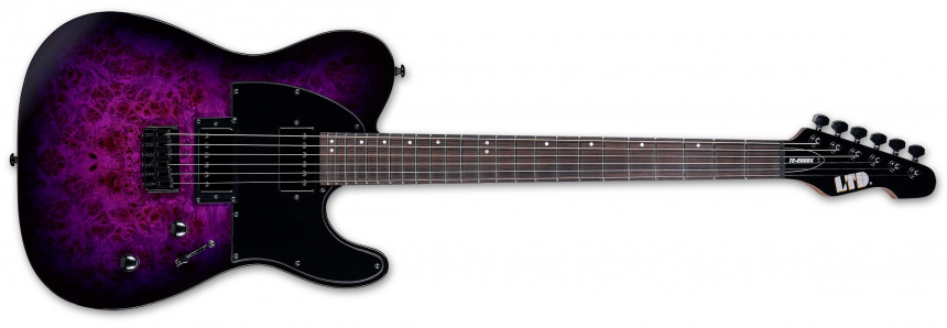 LTD TE-200DX